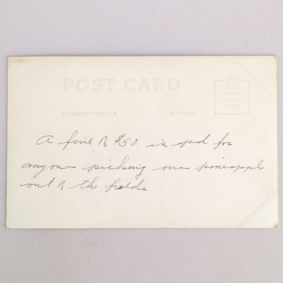 Vintage 1930s Pineapples At Harvest Time Hawaii Postcard Real Photo RPPC Kodak - Picture 2 of 2